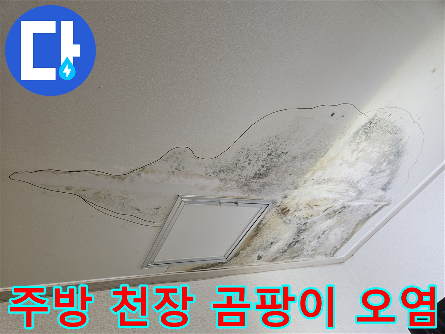 천장 점검구 주변의 넓은 곰팡이 분포와 물샘 흔적