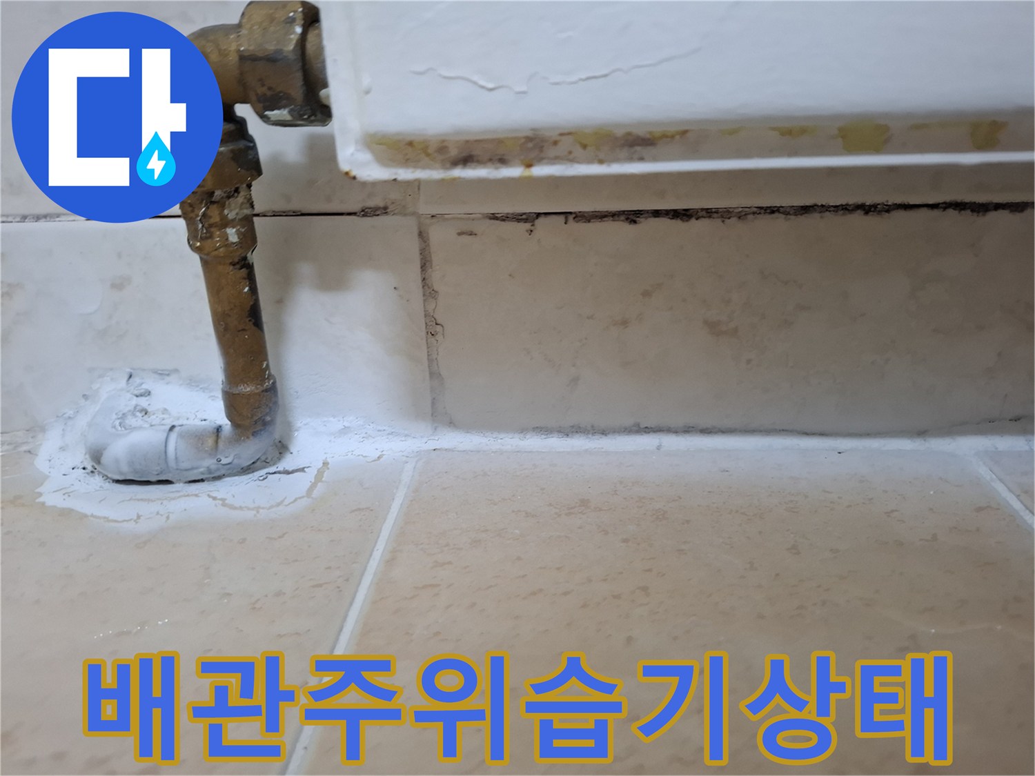 오염된 배관 관통부 마감재와 타일 틈새 모습