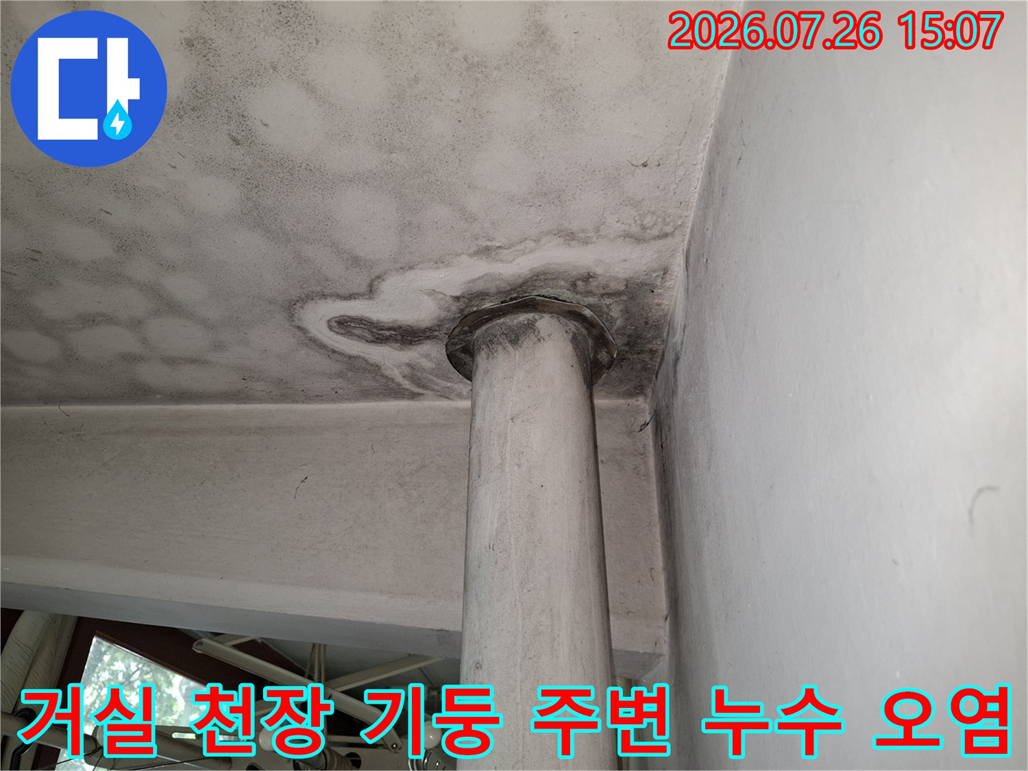 천장의 원형 기둥 상단부 마감재에 발생한 검은색 곰팡이와 습기 얼룩-누수 피해 사진