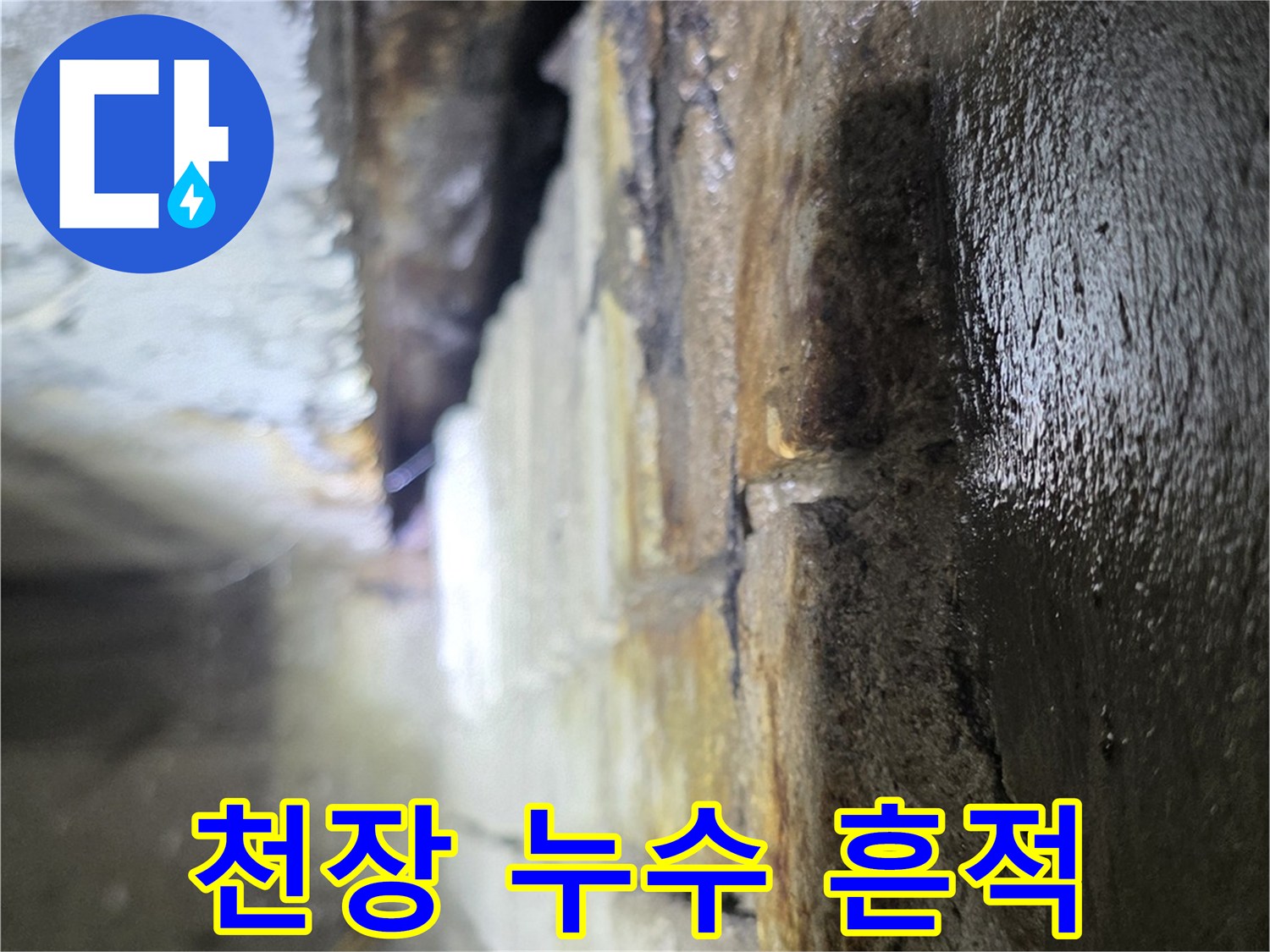 분당 상가-천장 내부의 습기와 오염된 모습