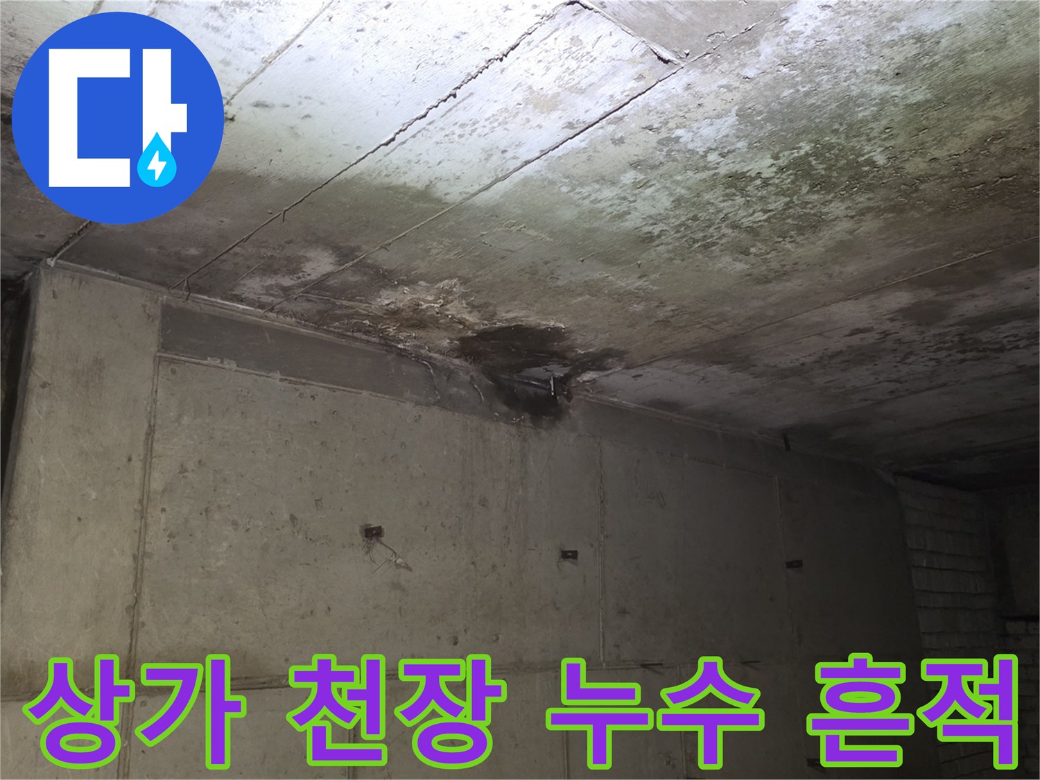 분당 수내동 상가 건물-천장 슬래브에 발생한 물샘 흔적과 곰팡이 상태