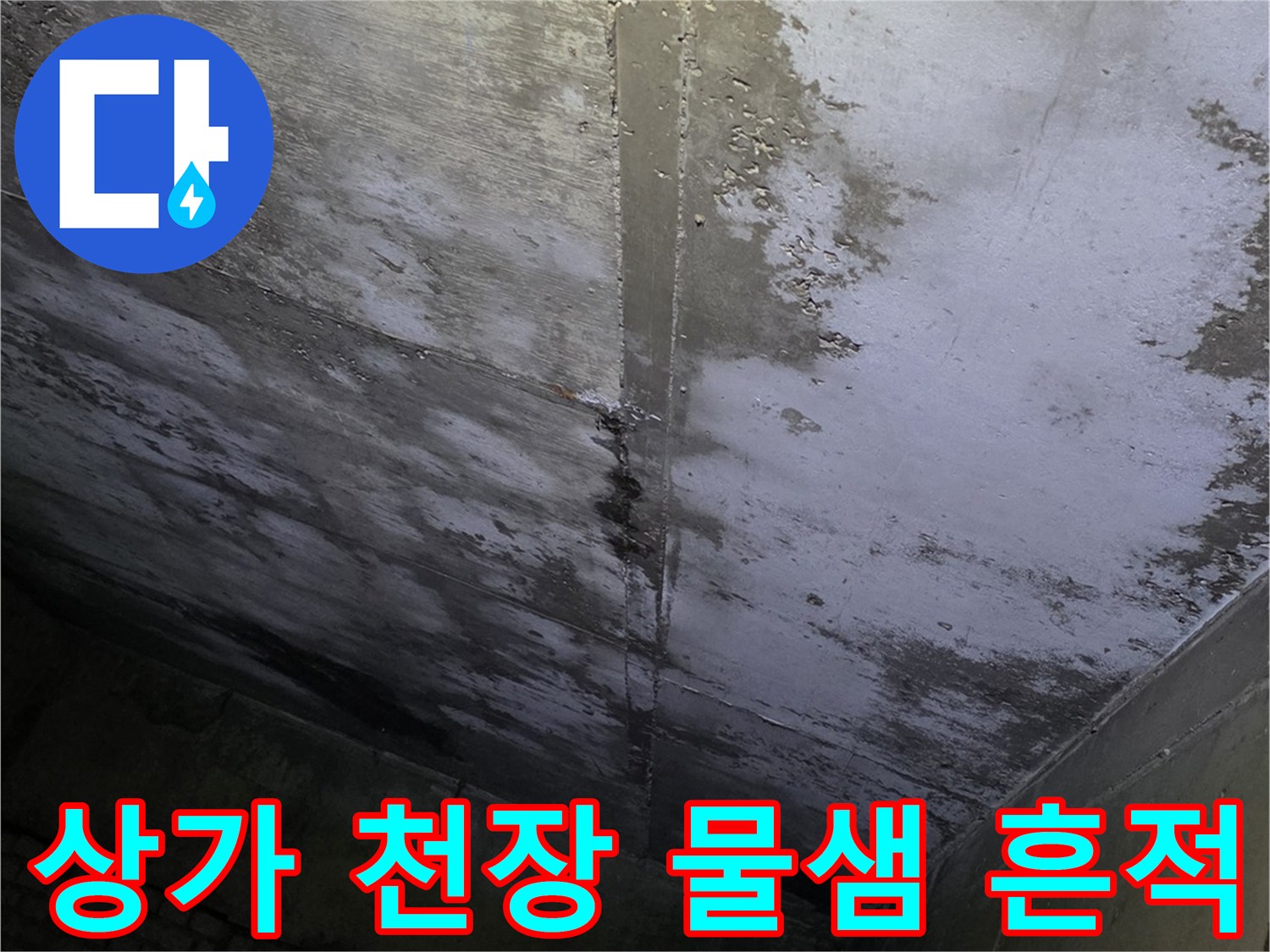 분당 수내동-상가 천장 누수 흔적과 습기 상태