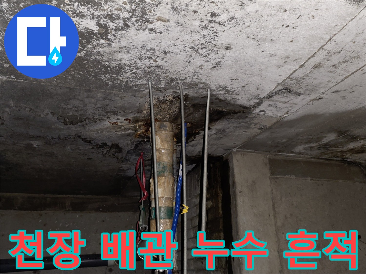 분당-수내동-상가-천장-배관-주변-습기-및-오염-상태