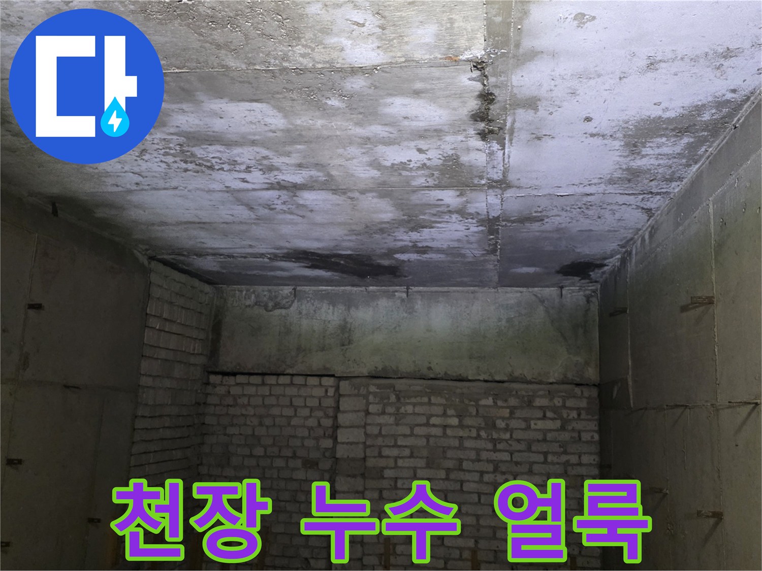 분당 수내동 상가 천장에 발생한 심한 습기와 오염 흔적