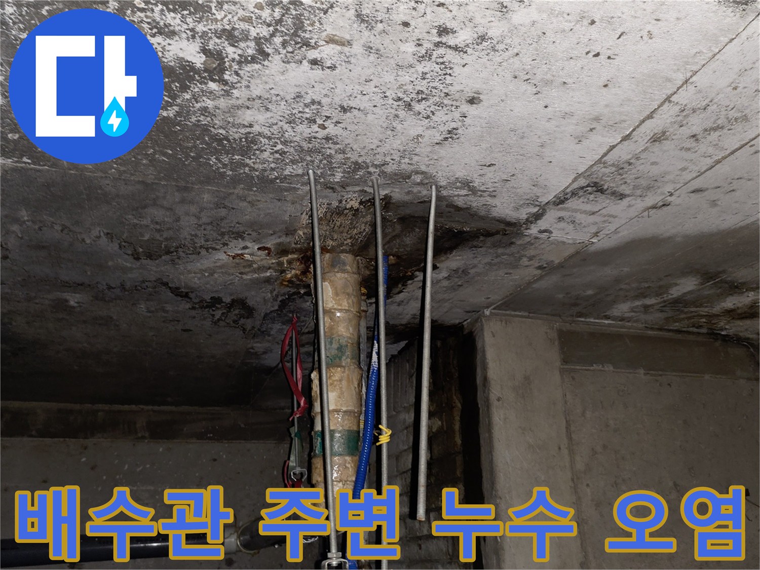 축축하게 젖은 천장 배관 부위-물샘으로 인해 변색된 콘크리트 표면