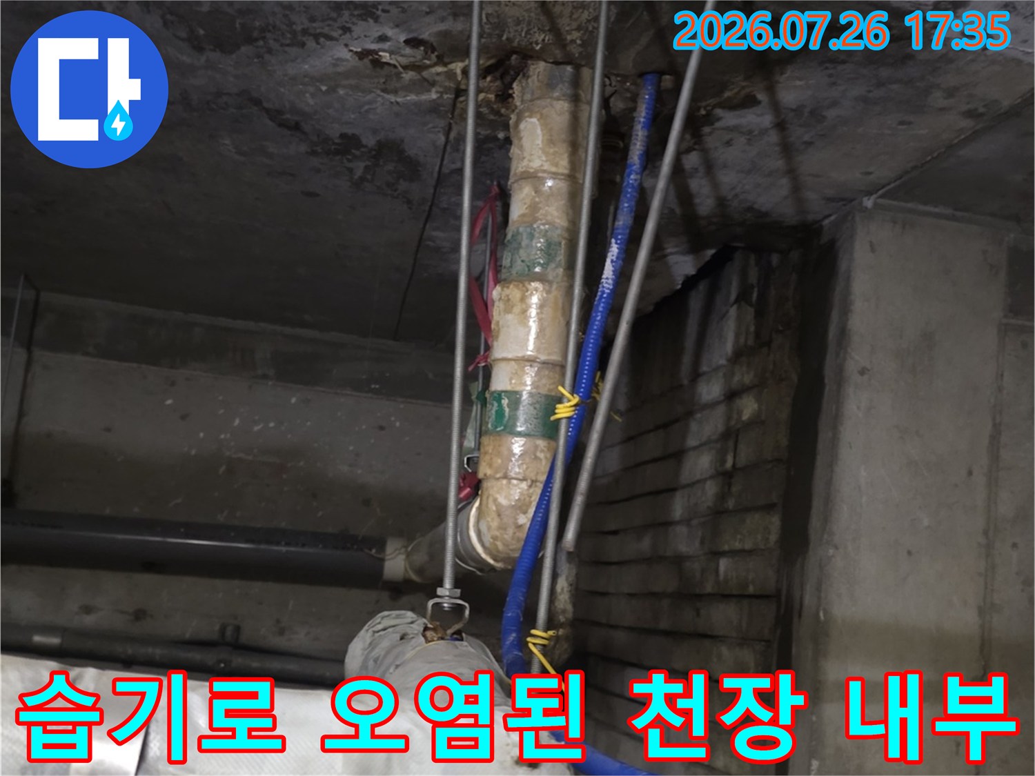 파란색 호스와 흰색 보온재 배관이 지나가는 젖은 콘크리트 천장 모습