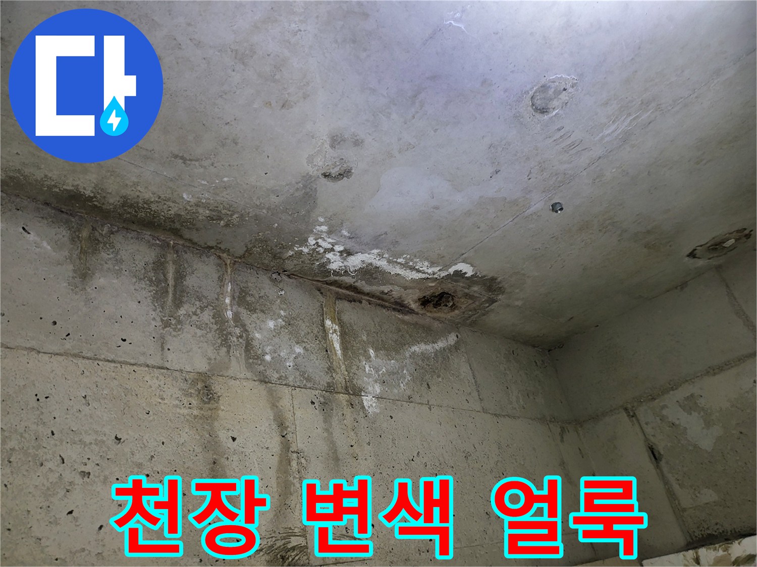 부천 중동 화장실-물샘으로 인한 천장의 곰팡이와 얼룩