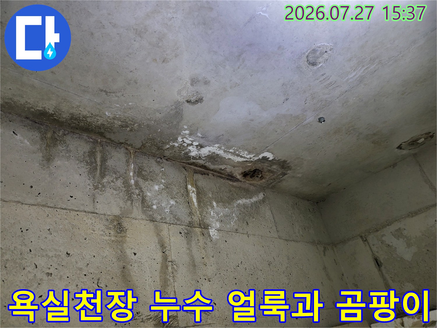 아랫집 화장실 천장의 콘크리트 면에 물자국과 곰팡이가 형성된 모습