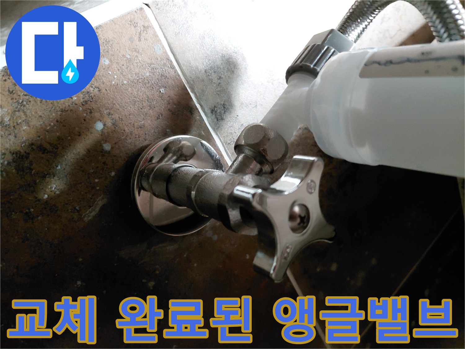 새로 교체한 은색 앵글밸브와 연결된 급수 호스 근접 사진입니다.