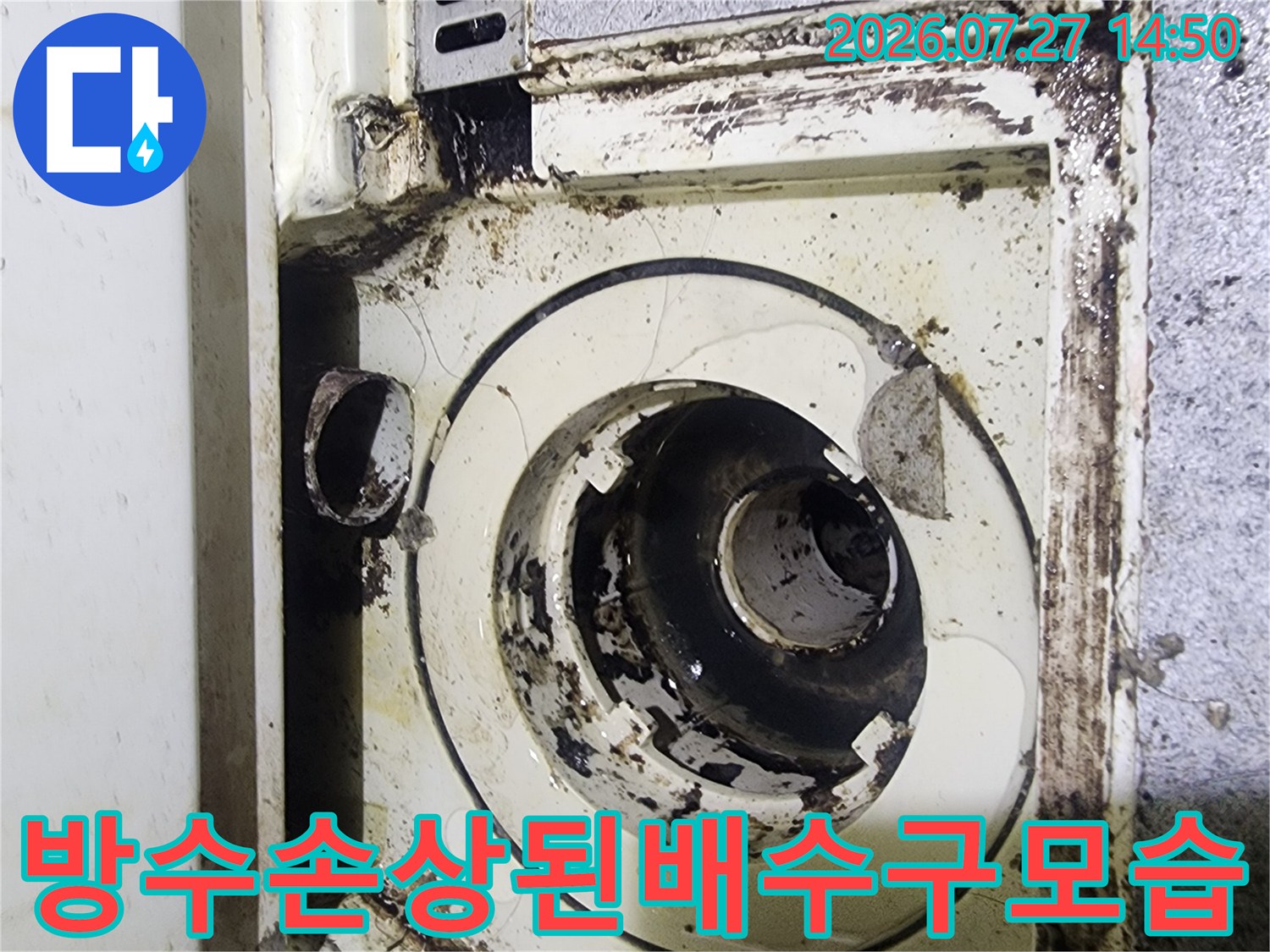물때와 곰팡이가 섞인-화장실 바닥 배수관 연결 부위의 근접 사진