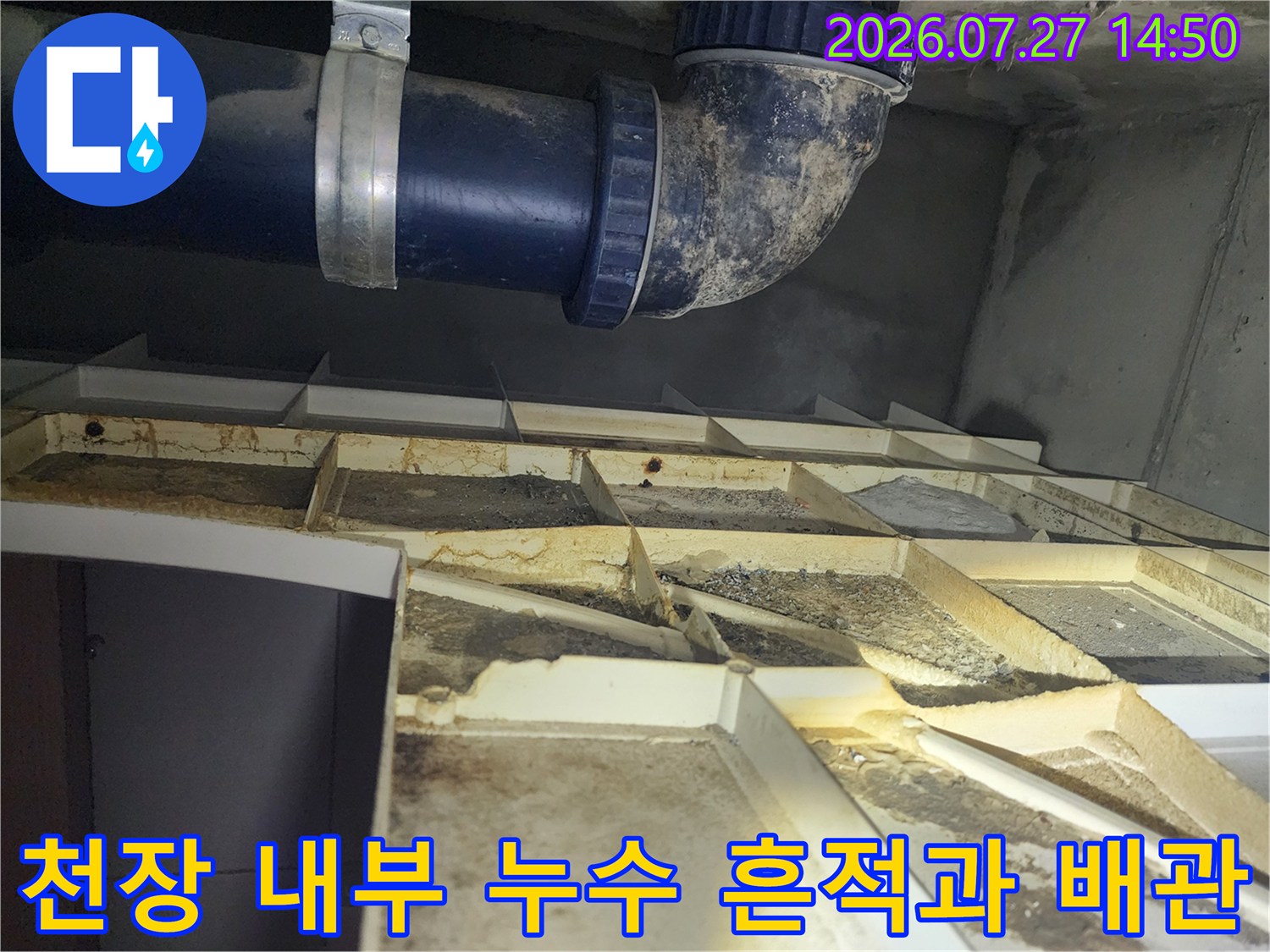 변색된 천장 패널 아래로 굴곡지게 설치된 파란색 플라스틱 하수 배관의 모습
