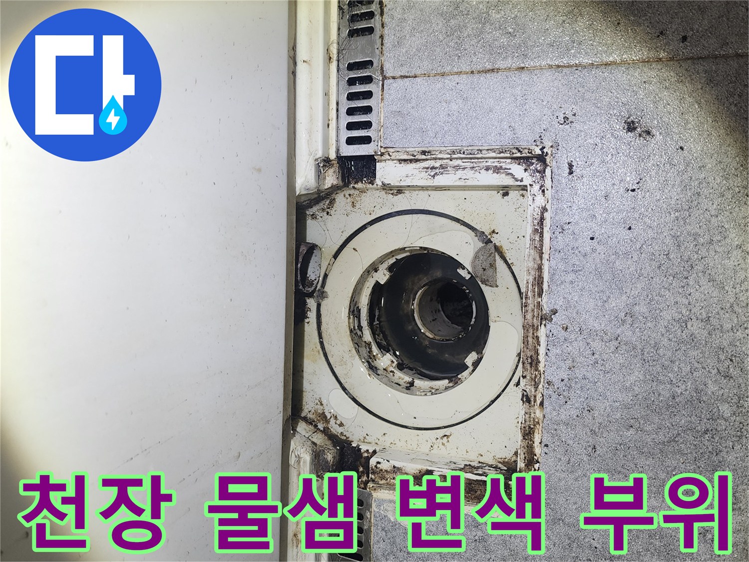 천장 몰딩 주변의 누수 흔적과 습기로 인한 변색 상태를 보여줍니다