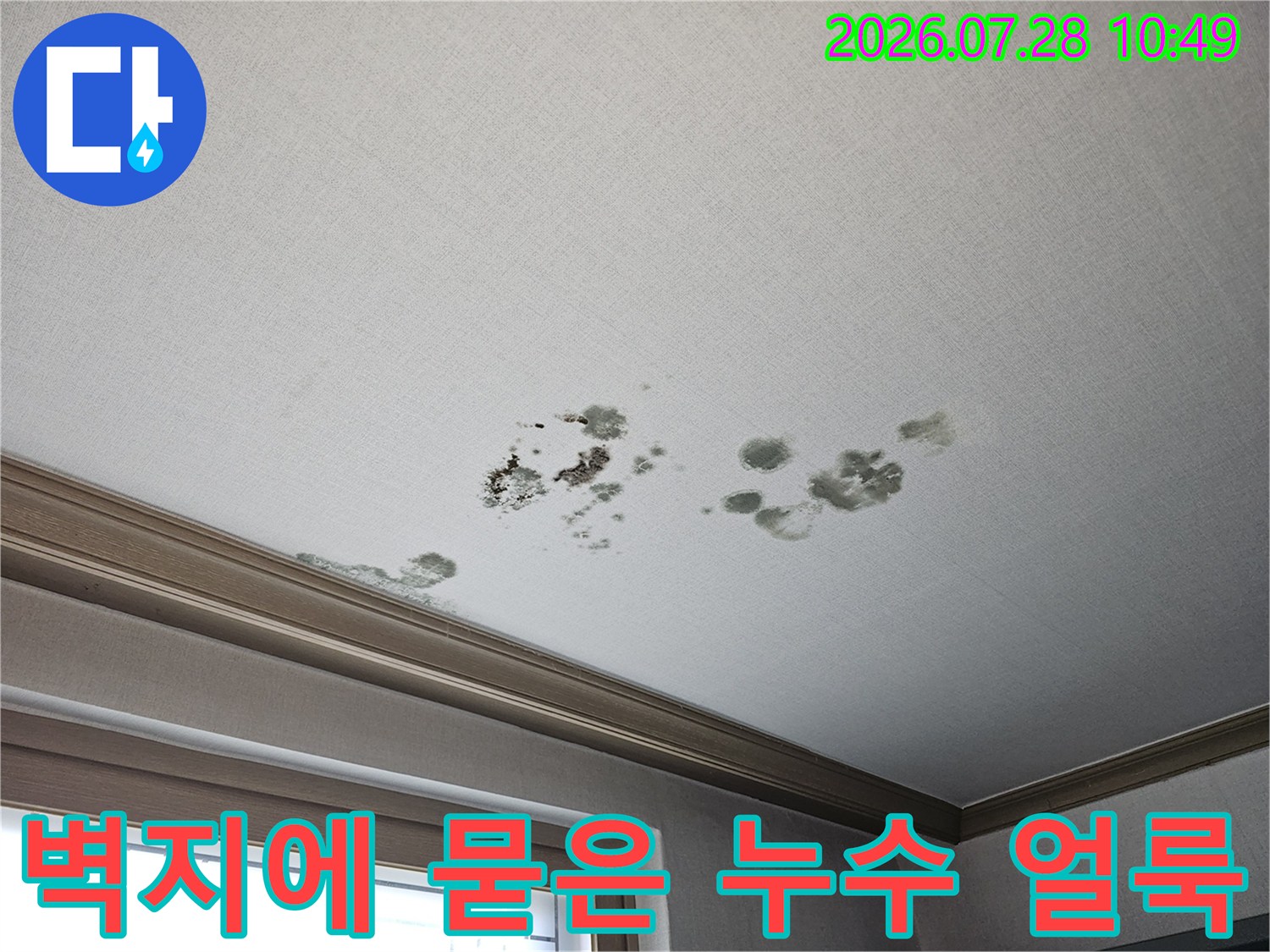 거실 천장부의 물자국과 곰팡이로 인한 벽지 손상 상태