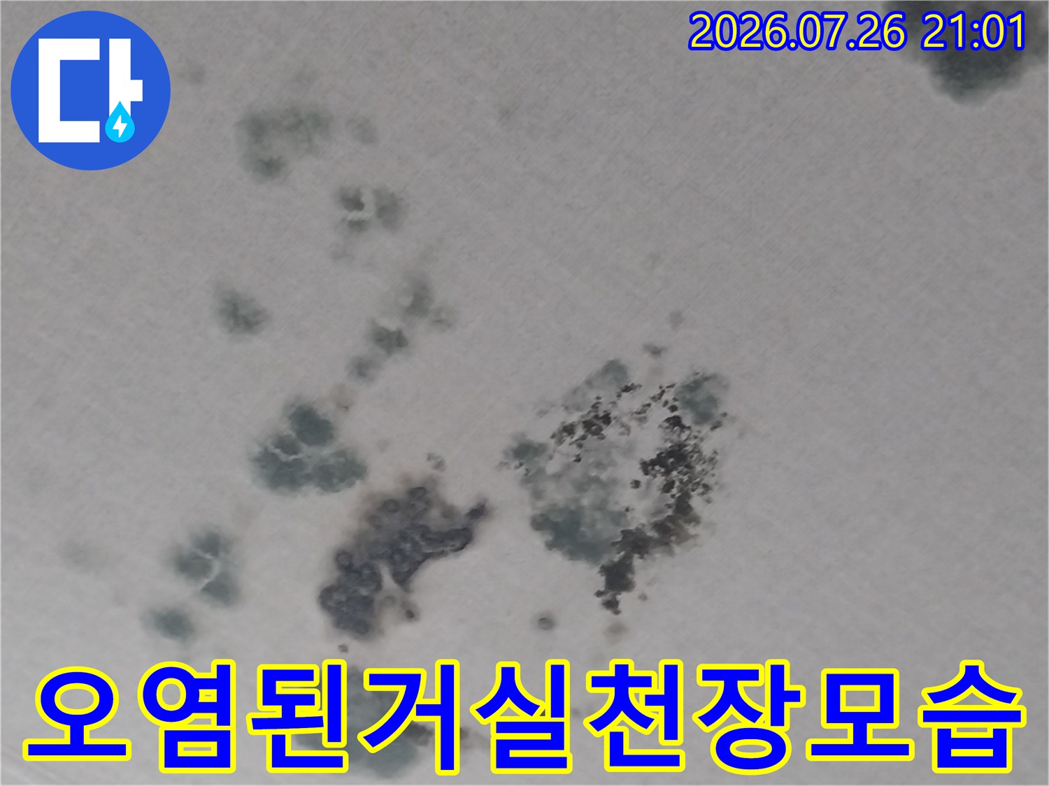 곰팡이와 누수로 인해 얼룩진 거실 천장의 근접 사진