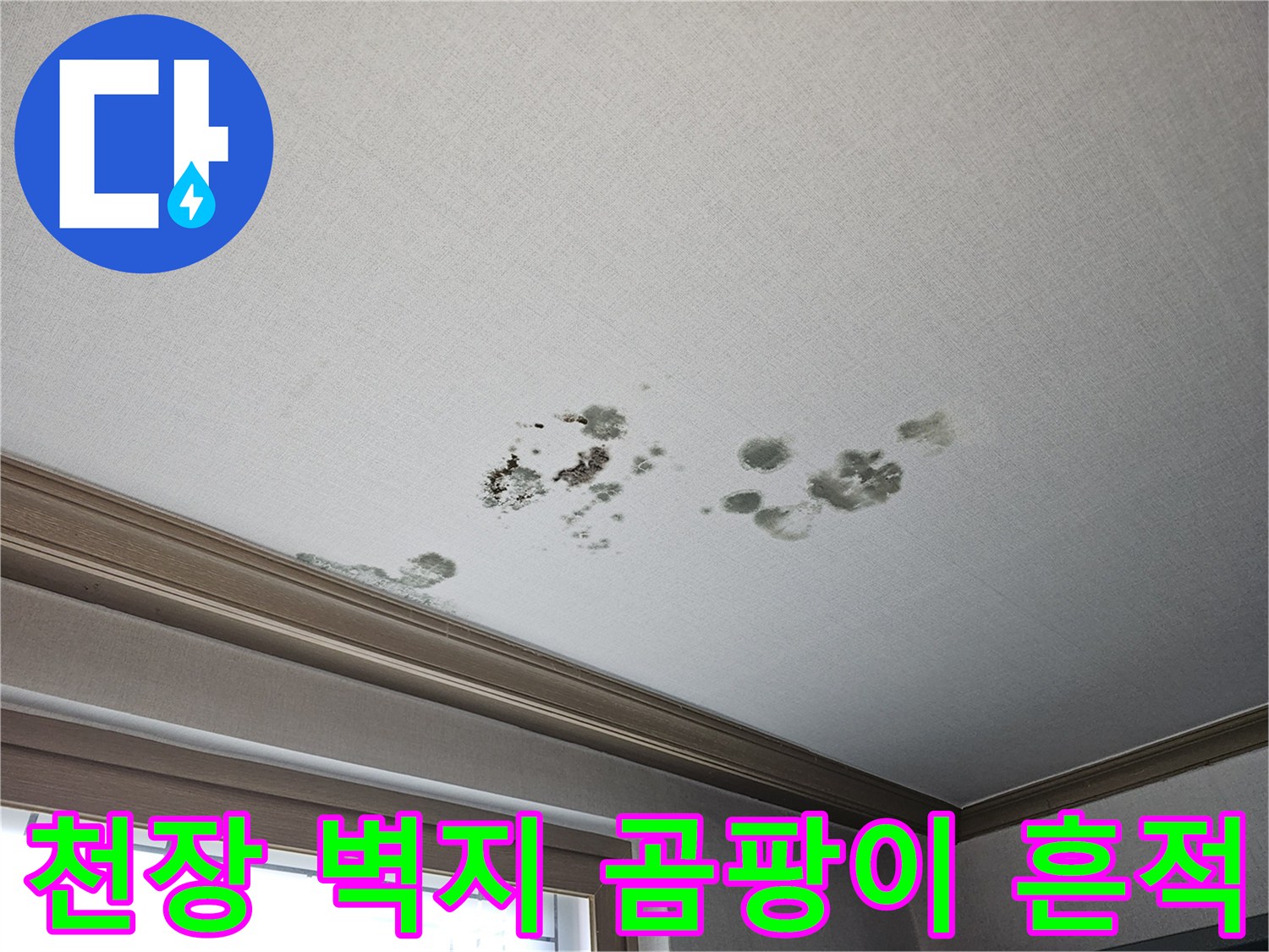 물샘 현상으로 인해 발생한 천장 곰팡이와 얼룩 부위