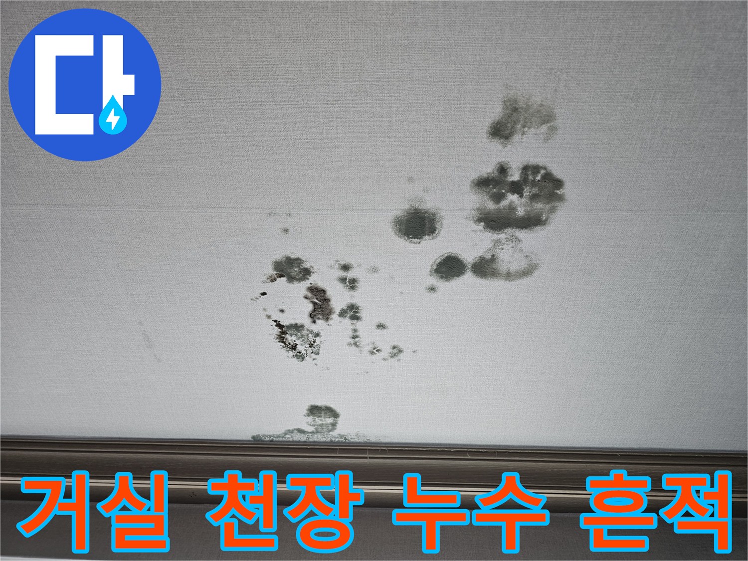 천장 벽지 표면에 나타난 불규칙한 곰팡이와 수분 침투 자국
