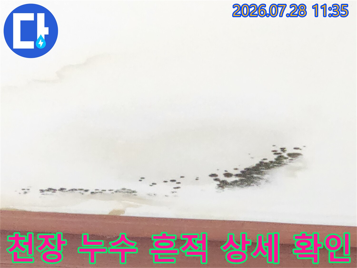 거실 천장에 나타난 물자국 및 곰팡이 오염부위