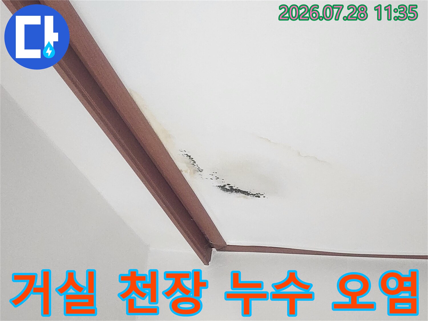 천장 몰딩 부위 물자국과 곰팡이가 발생한 현장 사진