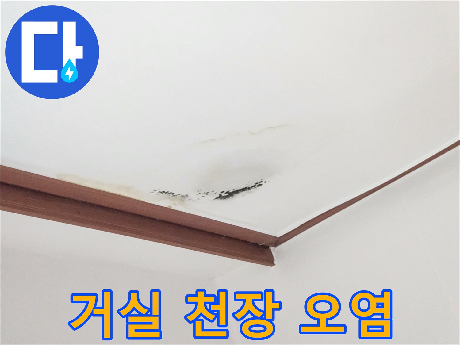 천장 몰딩 주변의 물자국과 곰팡이 발생 부위