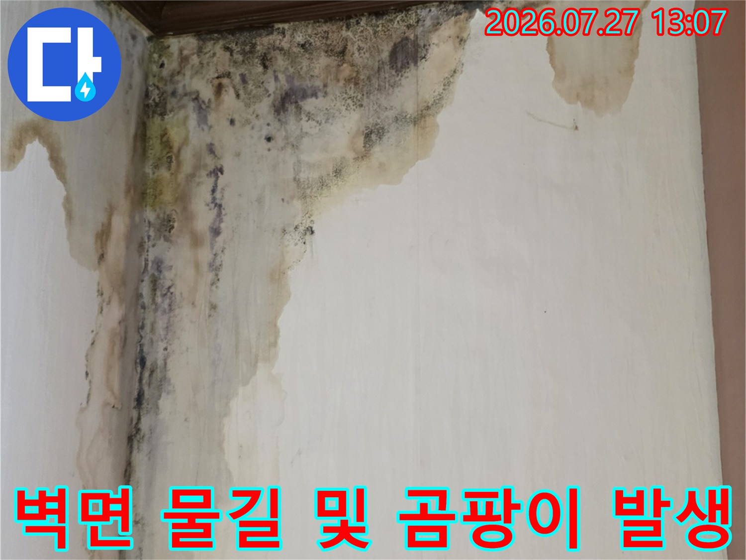 천장 몰딩 하단부터 벽면 아래까지 길게 이어진 누수 얼룩과 곰팡이-실제 사례