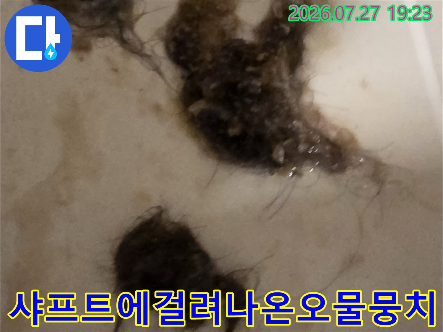 배관-벽면에-붙어있던-머리카락과-이물질들이-추출된-모습