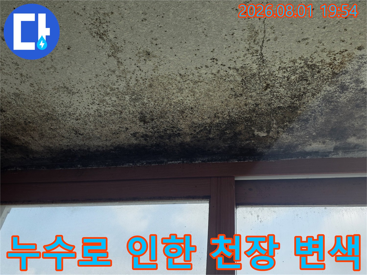 천장 마감재에 번진 누수 흔적과 곰팡이