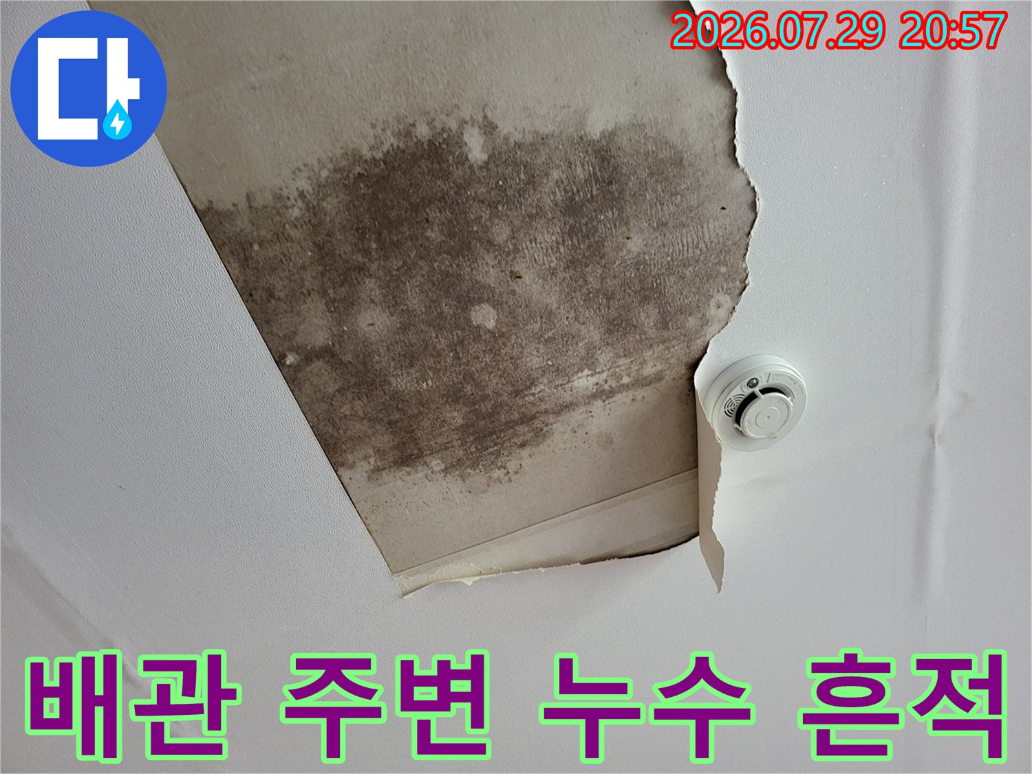 천장 내부를 노출하여 곰팡이와 수분 침투 양상을 확인하는 사진
