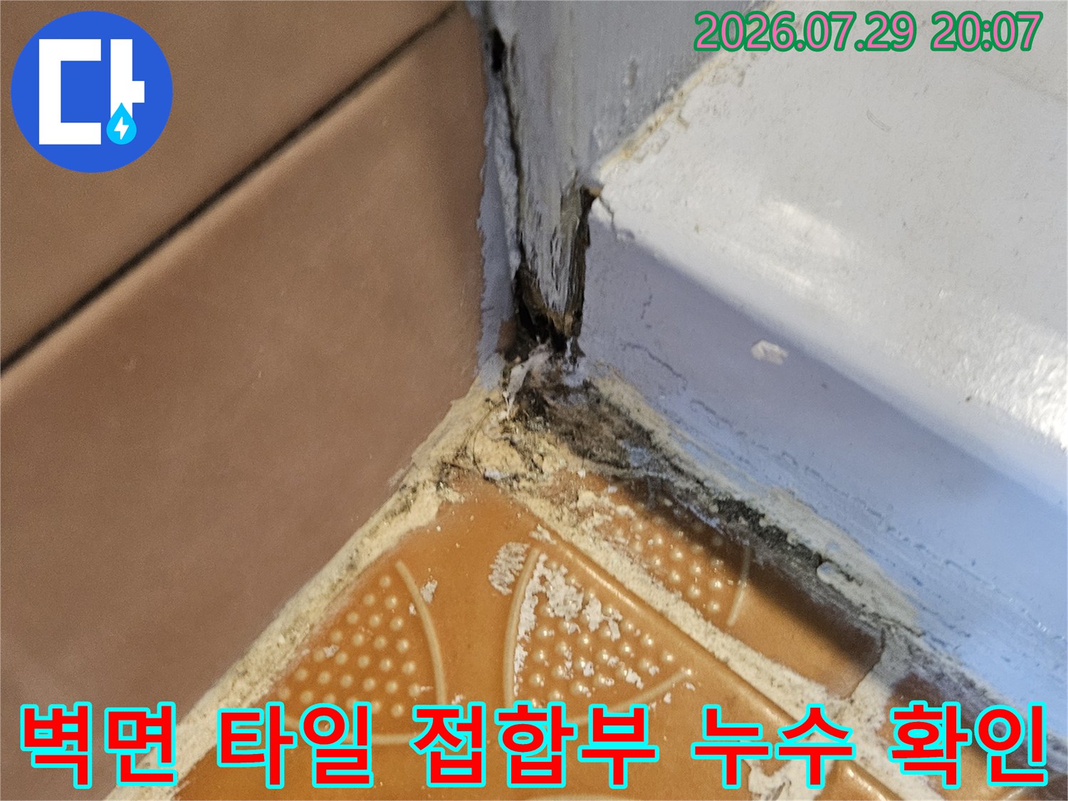 욕실 벽체와 바닥의 경계면에 발생한 마감재 손상과 누수 징후를 촬영한 사진