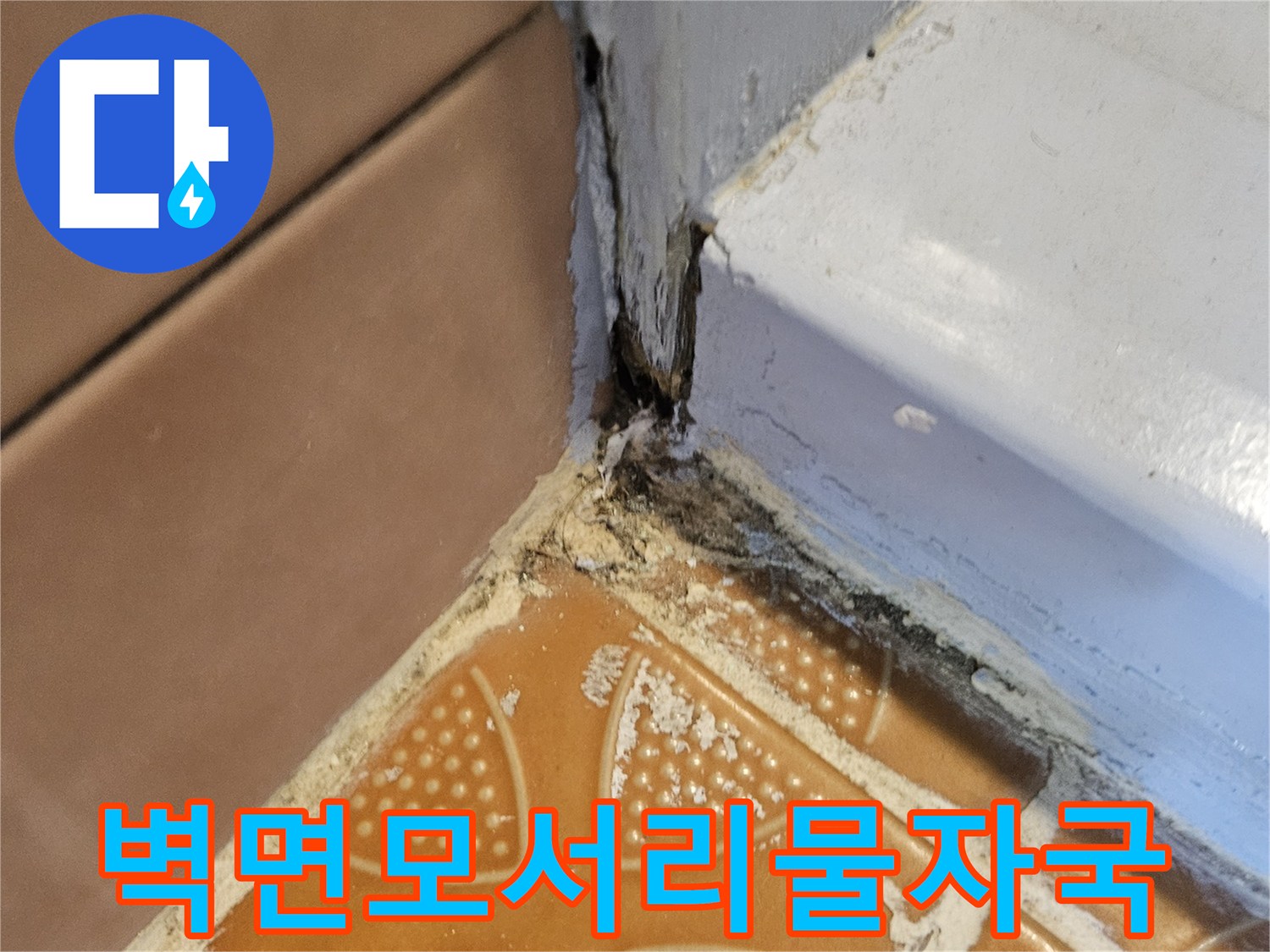 타일과-벽면-경계-부분에-스며든-누수-흔적