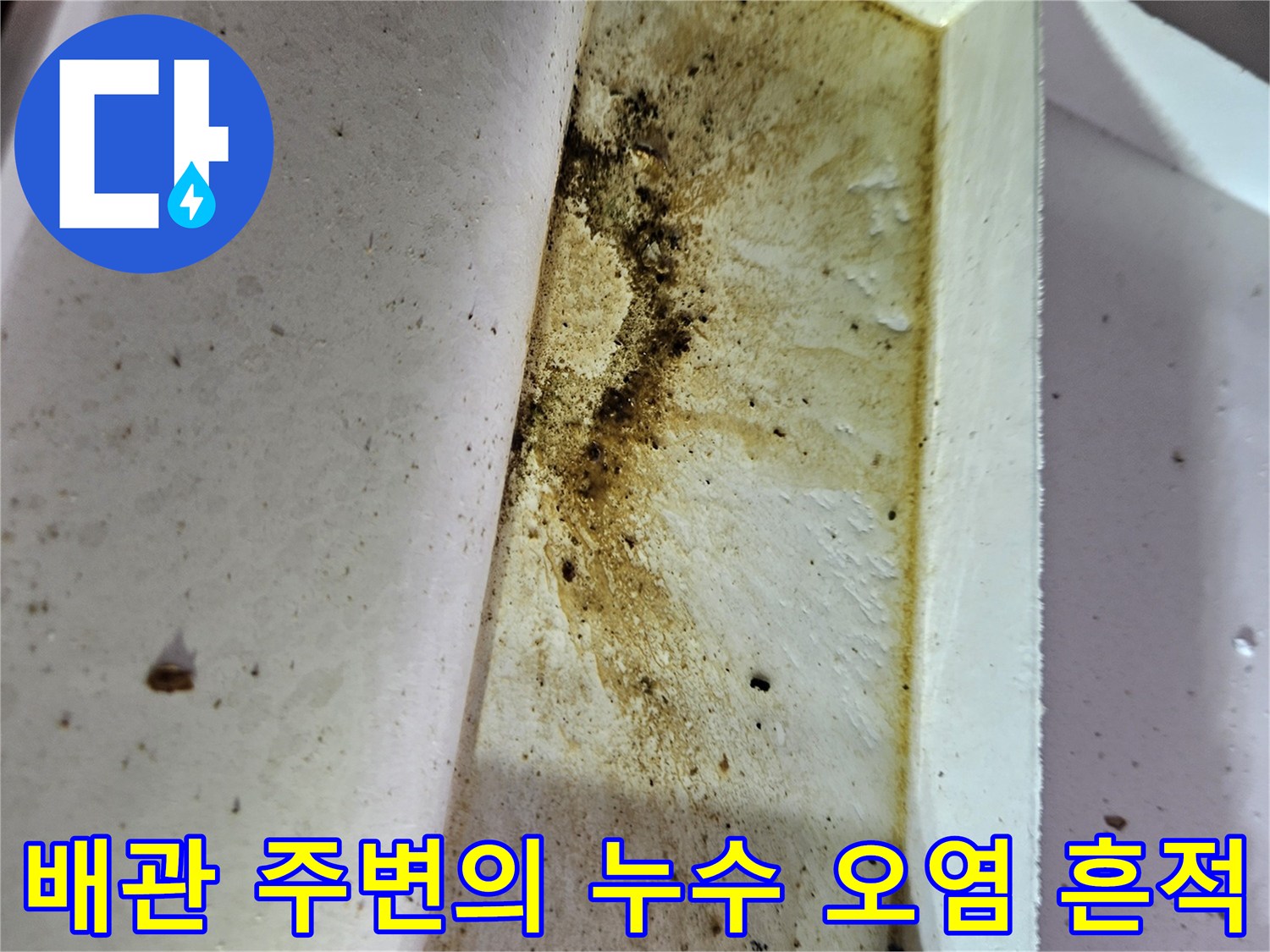 누수로 인해 변색되고 젖은 상태의 천장 내부 배관 부위