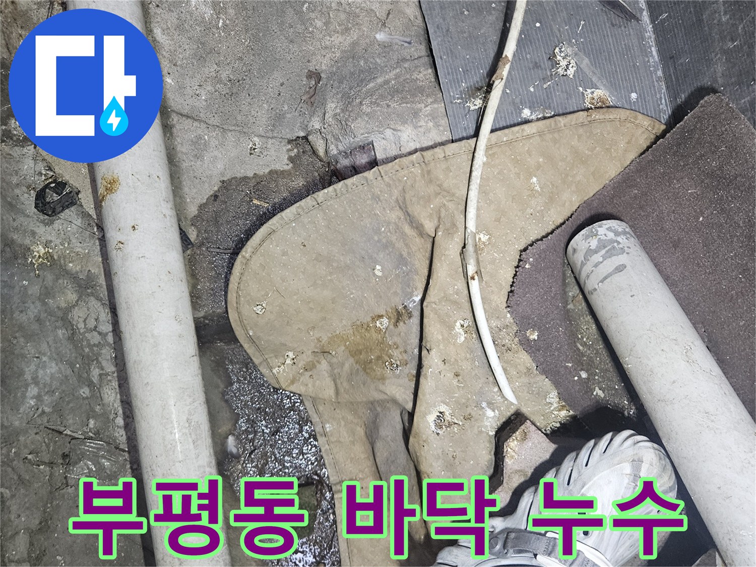 부평동 상가 화장식 바닥 배수구 주변의 습기와 물 고임 현상