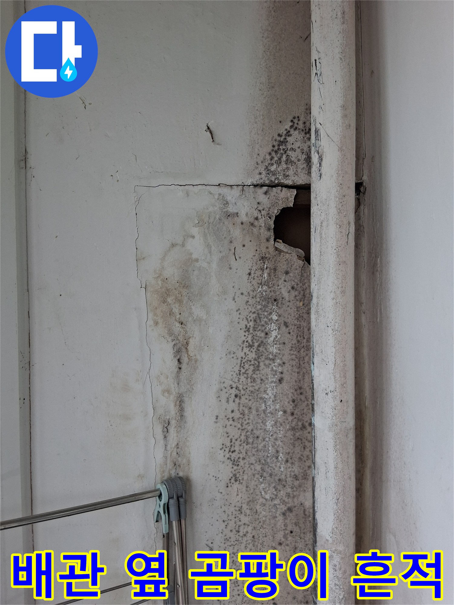 배수관을 따라 나타난 젖은 벽면과 곰팡이 자국