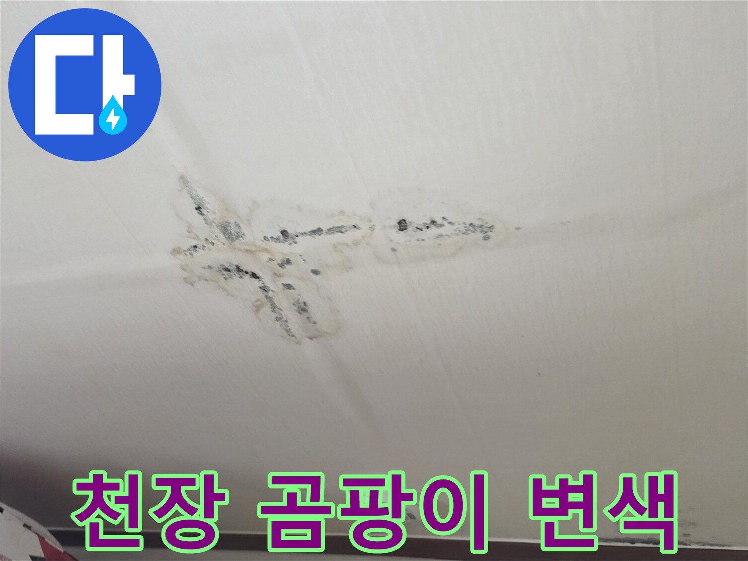 구미동 현장-물샘으로 인한 천장 벽지 오염