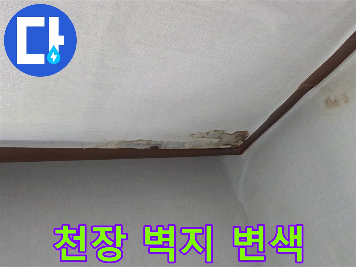 분당 구미동 원룸 천장 벽지가 젖어 얼룩진 상태입니다.