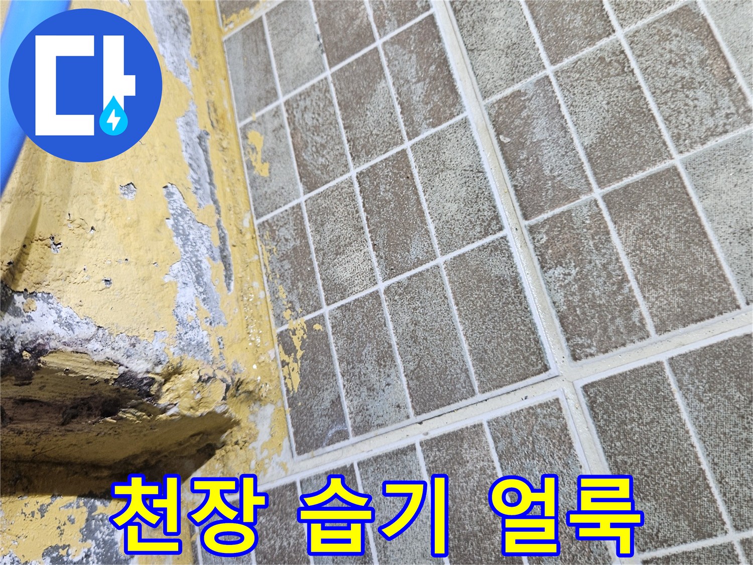 젖어있는 텍스 마감재-배관 누수 의심 부위