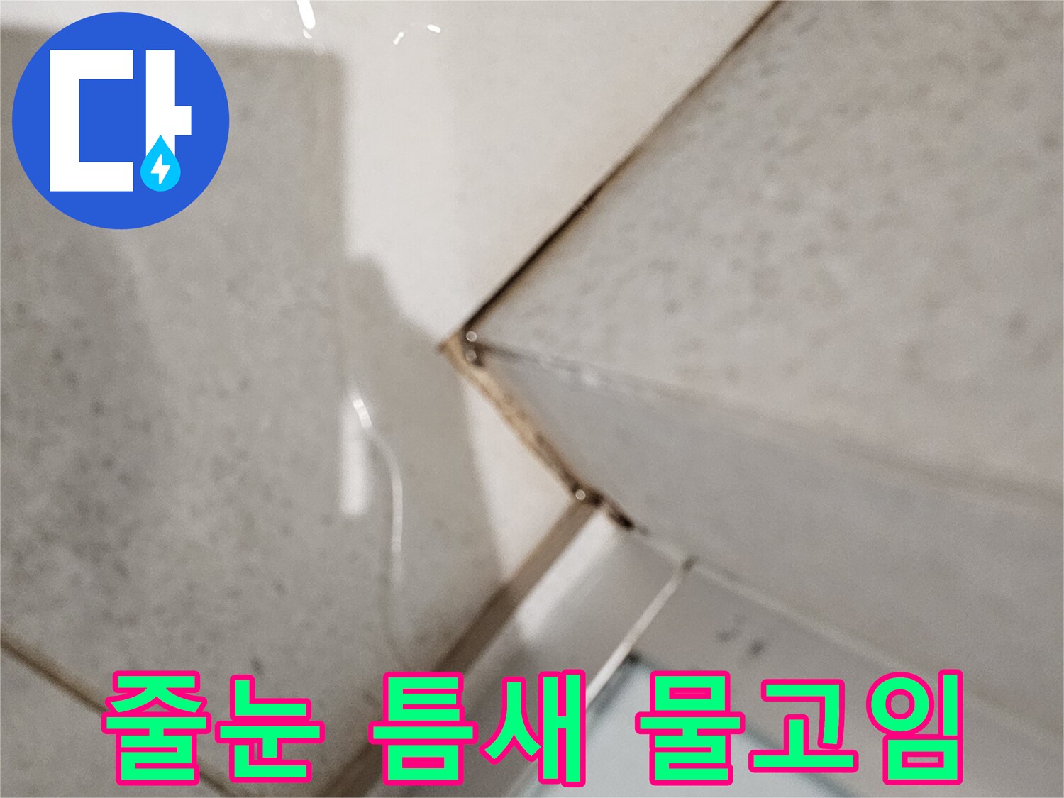 타일-사이-벌어진-틈으로-물이-스며든-모습