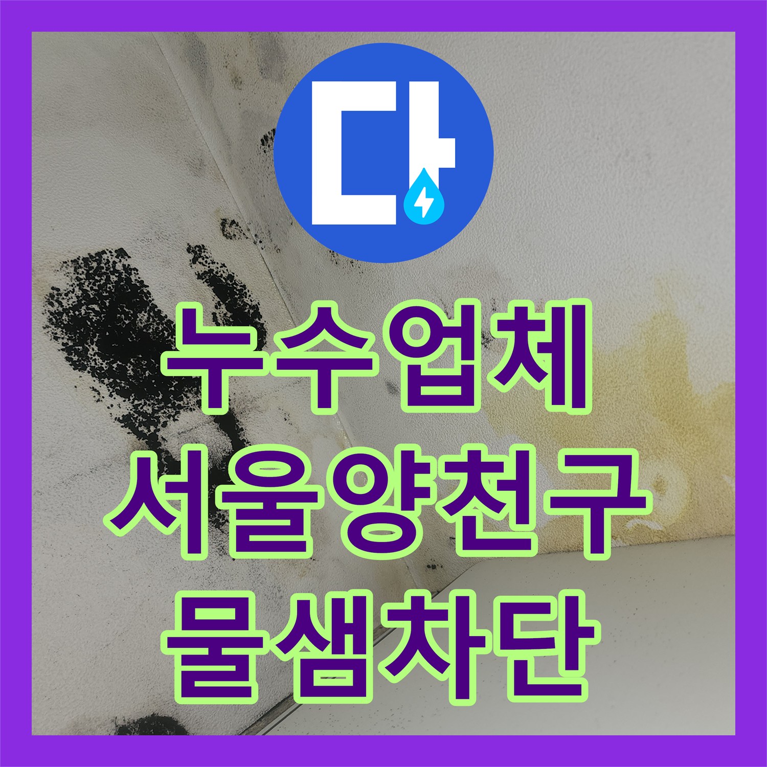 누수업체 서울 양천구 욕실 천장 물샘 해결을 위한 정밀 진단 및 방수 공사