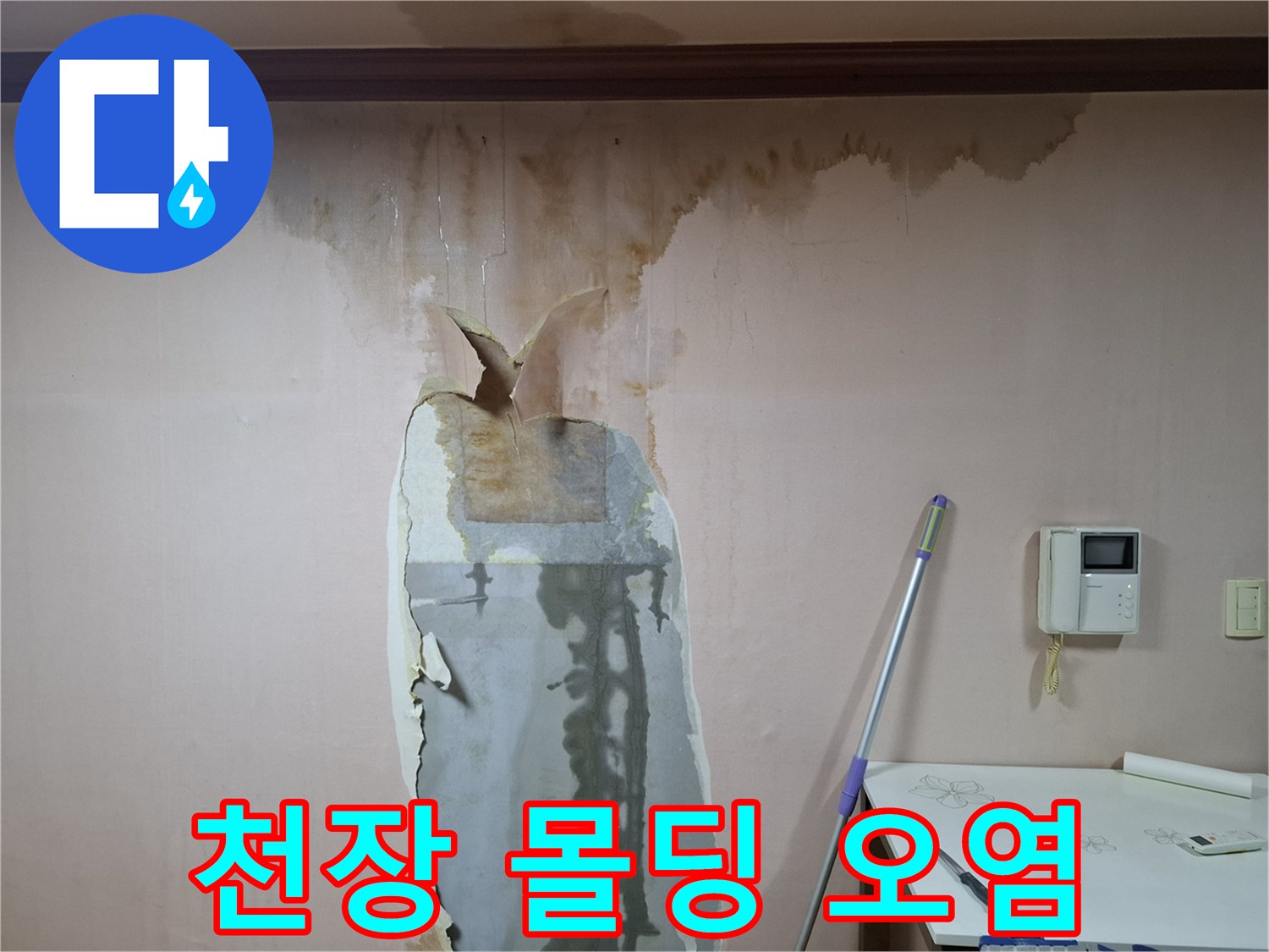 천장 몰딩 라인을-따라 나타난 갈색 물자국