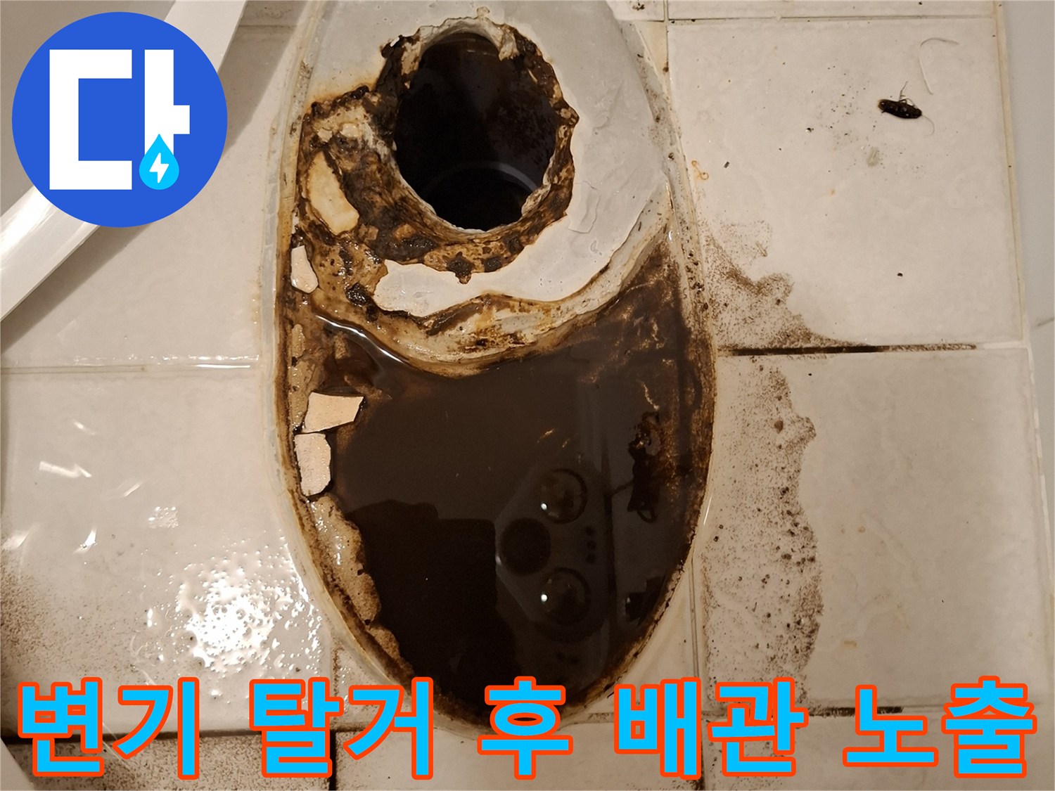 변기 제거 후 드러난 오염된 오수 배관과 타일 틈새
