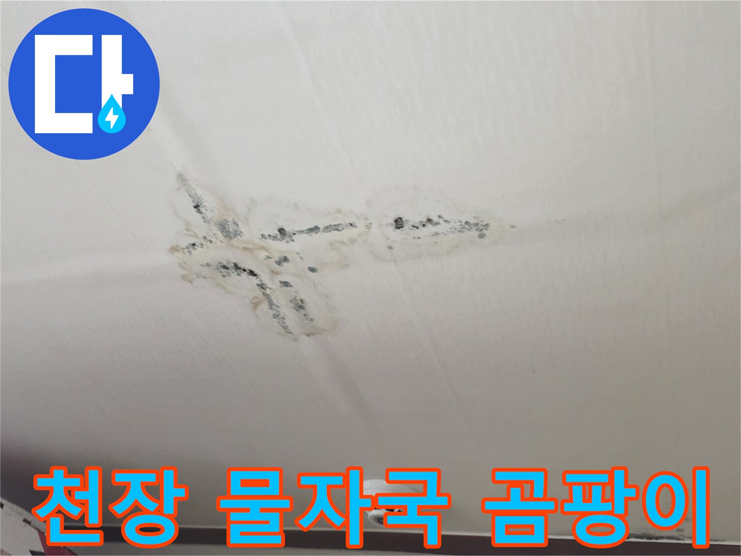 아파트-천장-면의-누수로-발생한-검은색-곰팡이와-젖은-얼룩
