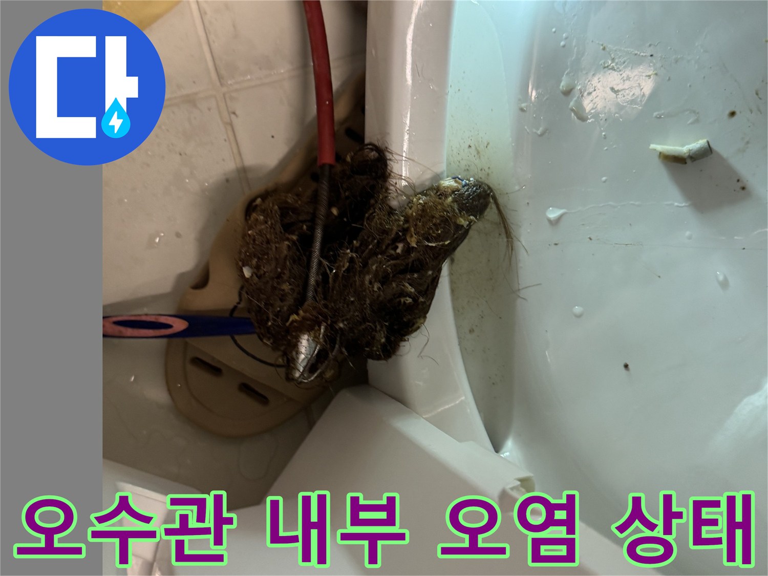 변기 탈거 후 보이는 배관 내 머리카락 및 오물 덩어리