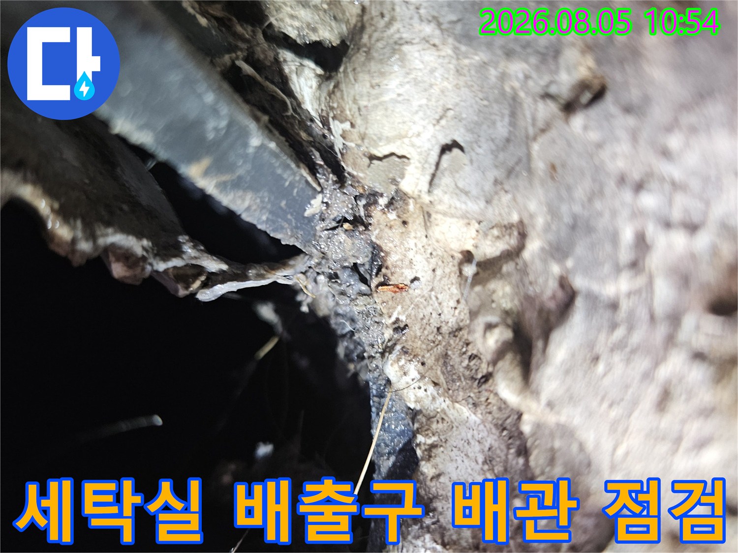 세탁실 배수구 주변의 노후된 배관과 연결 부위를 정밀하게 점검하는 모습