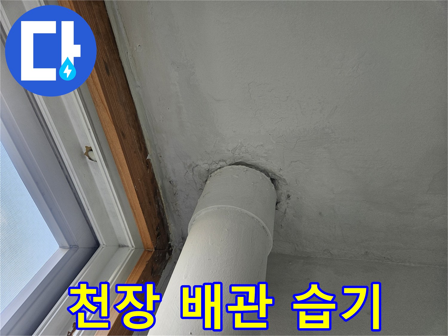 세탁실 천장-배수 배관 주변의 젖은 흔적