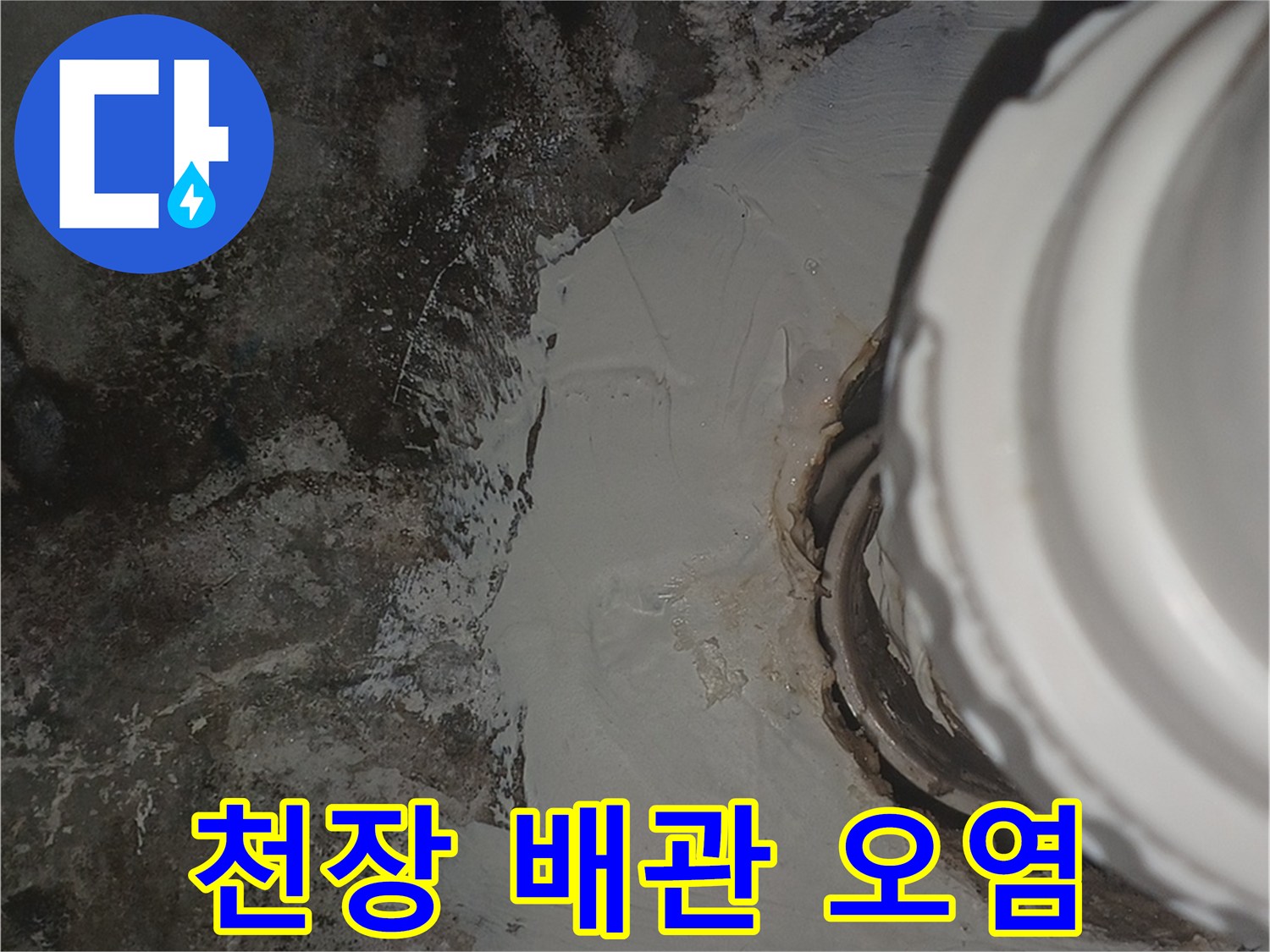 천장 배관 주변의 검은 곰팡이와 물에 젖은 흔적