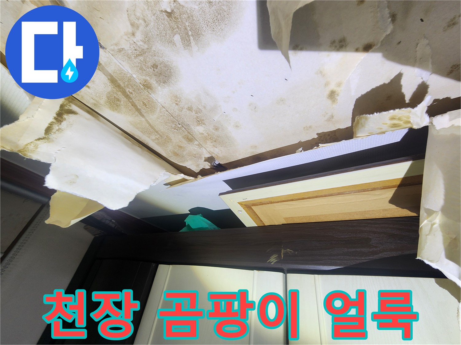 중랑구 면목동 주택 - 천장에 발생한 광범위한 곰팡이와 물자국