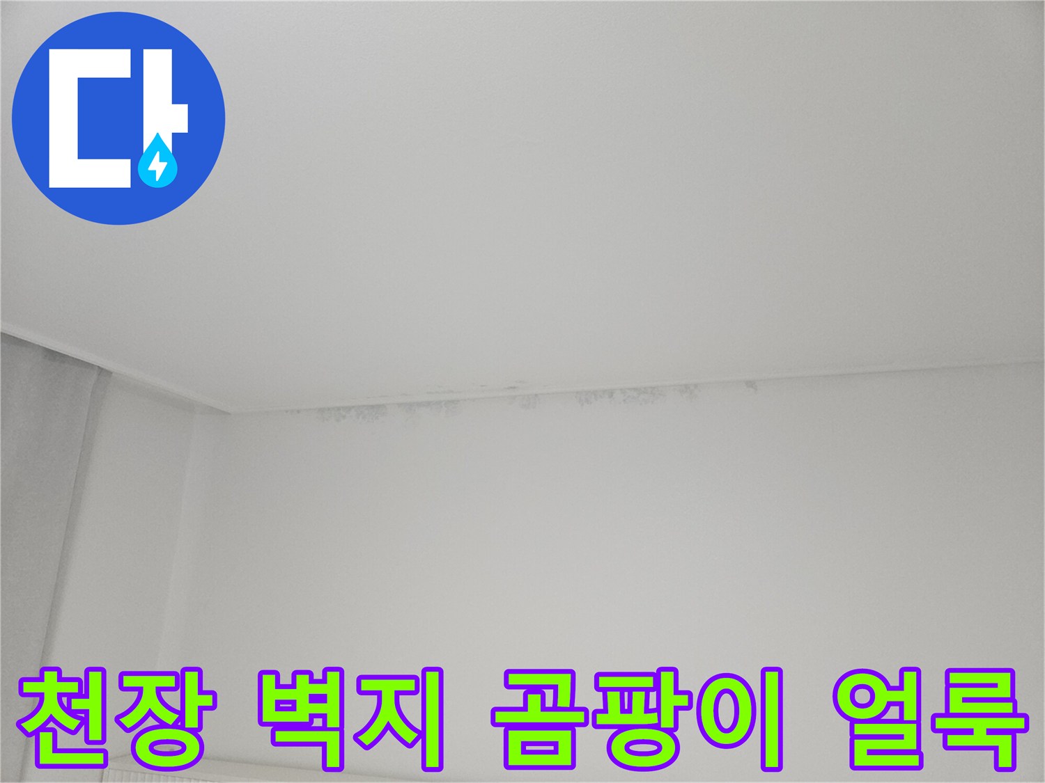 물샘으로 인해 변색되고 곰팡이가 발생한 천장 구석 부위