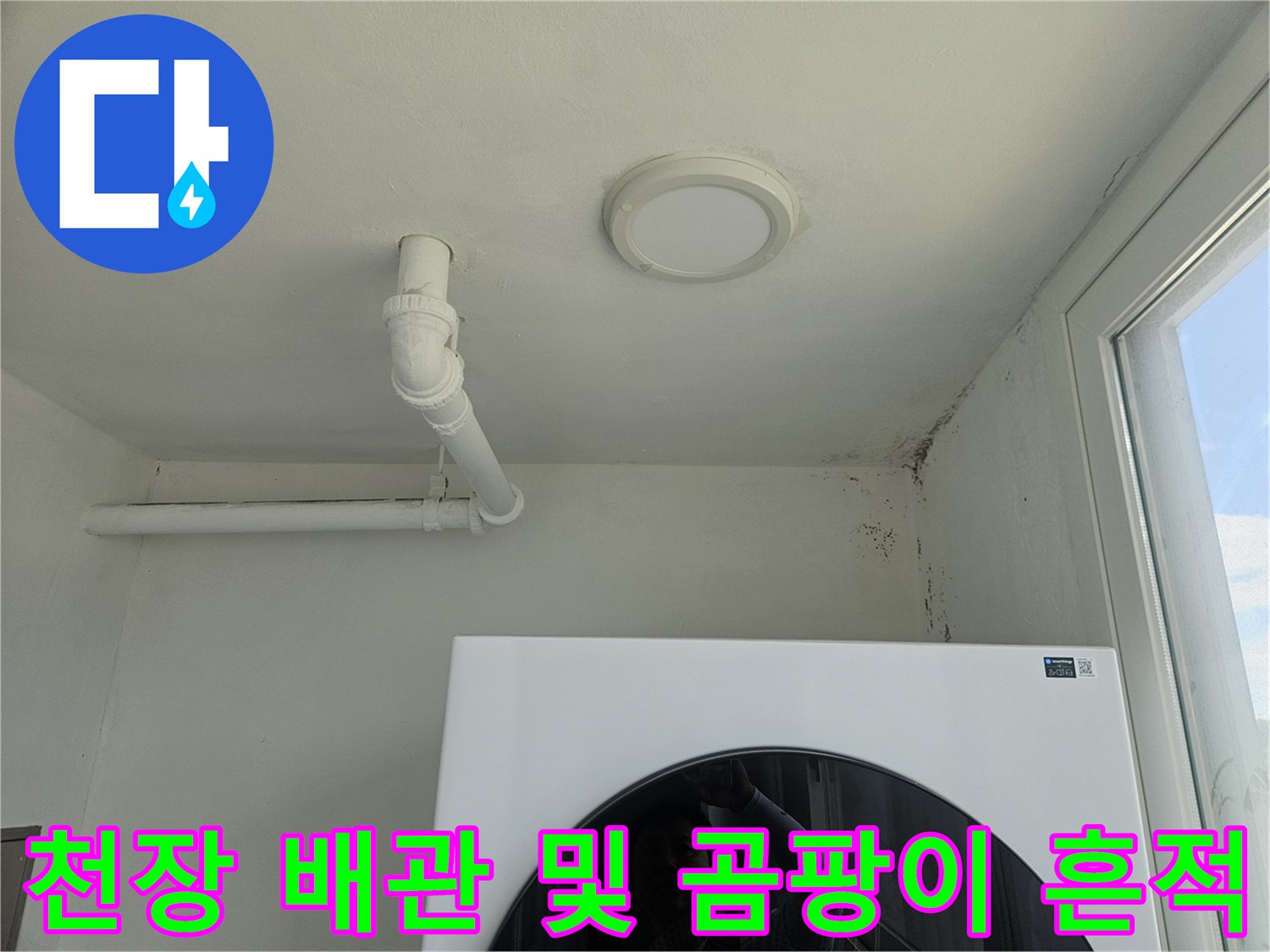 아파트 천장-배관 주변의 곰맨이 발생한 모습