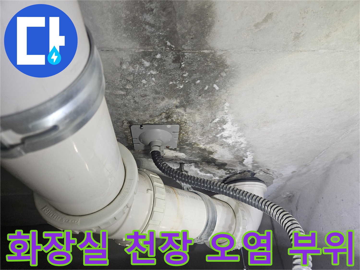 누수로-오염된-천장-배관-및-슬라브-상태