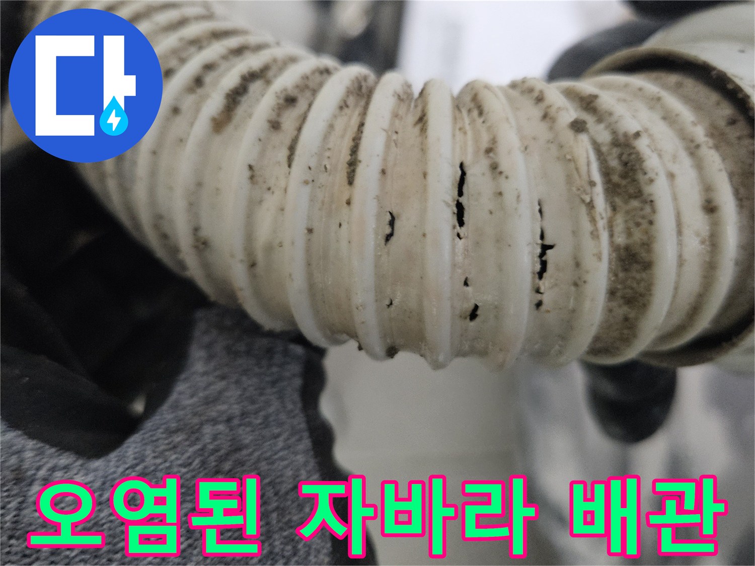 물때와 오염이 심한 노후된 배수 주름관의 모습입니다.