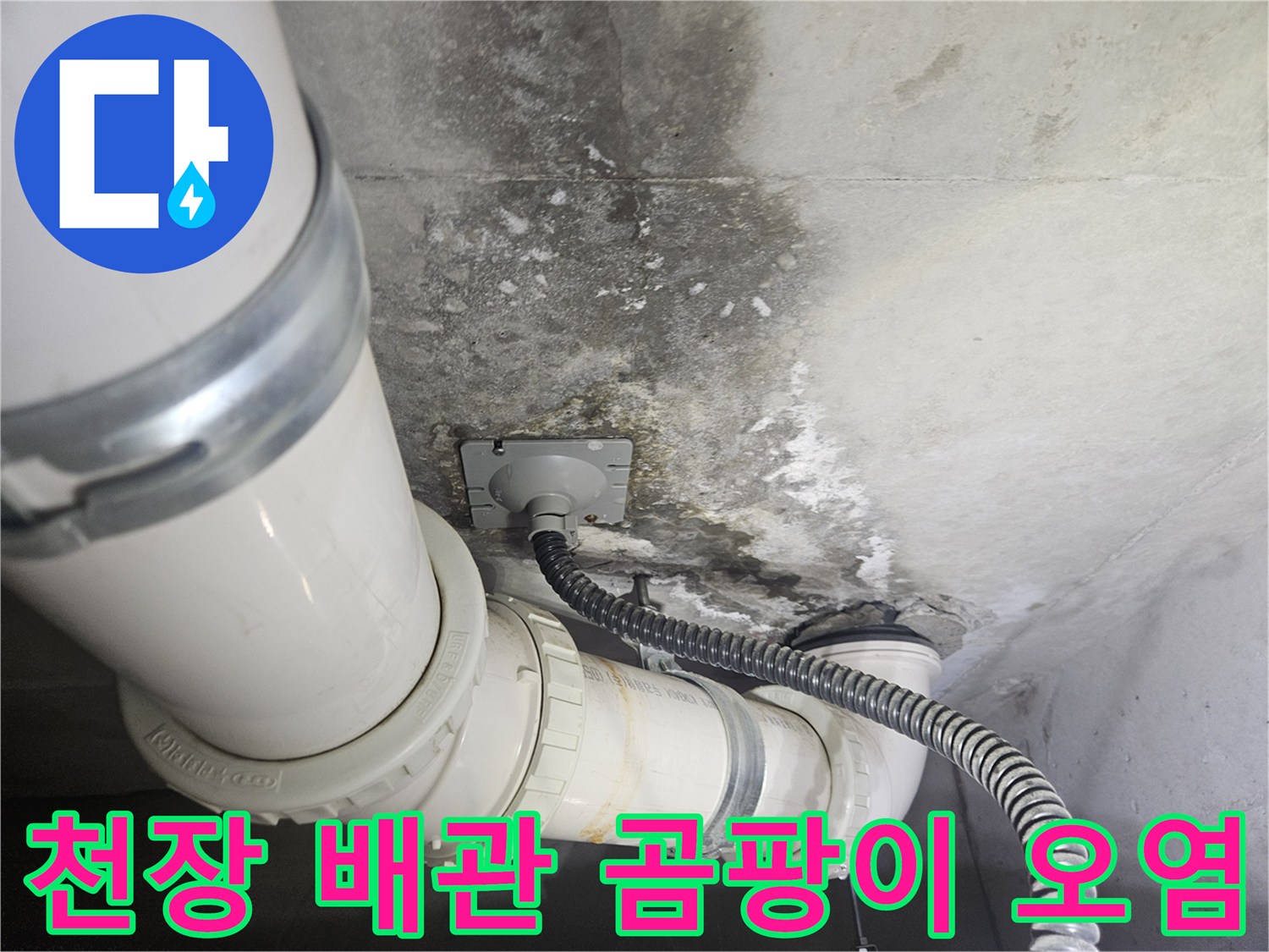 물샘-현상으로-오염된-천장-배관-및-슬라브